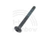 PowerBook Screw, bottom case, Black T8 24mm (3400, G3 Kanga)