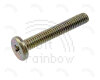 PowerBook G3 Screw, Heat Sink Philips 17.7mm (Wallstreet,PDQ)